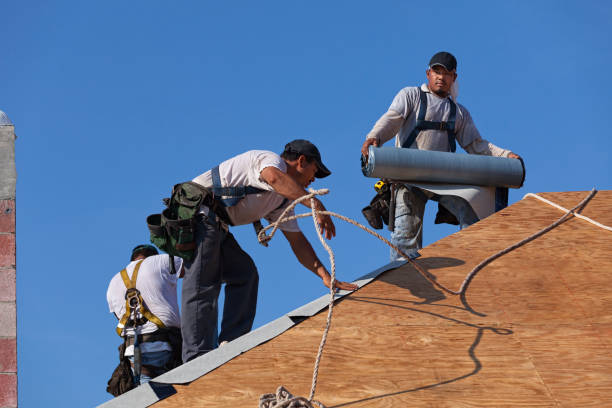 Best Metal Roofing Contractor  in Edinburg, IL