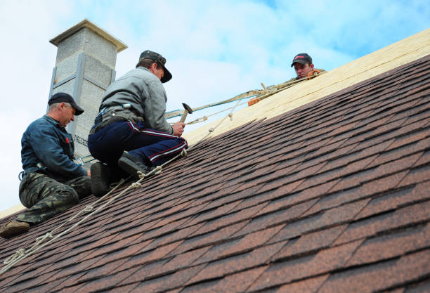 Best Emergency Roof Repair  in Edinburg, IL