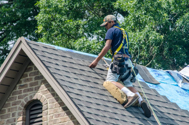 Best Roof Repair Services  in Edinburg, IL